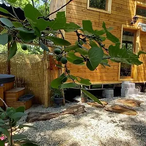  Hébergement de vacances Mini Maison Tiny House Et Son Bain Nordique France