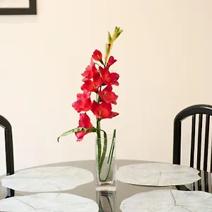  Appartement Aligrama Espagne